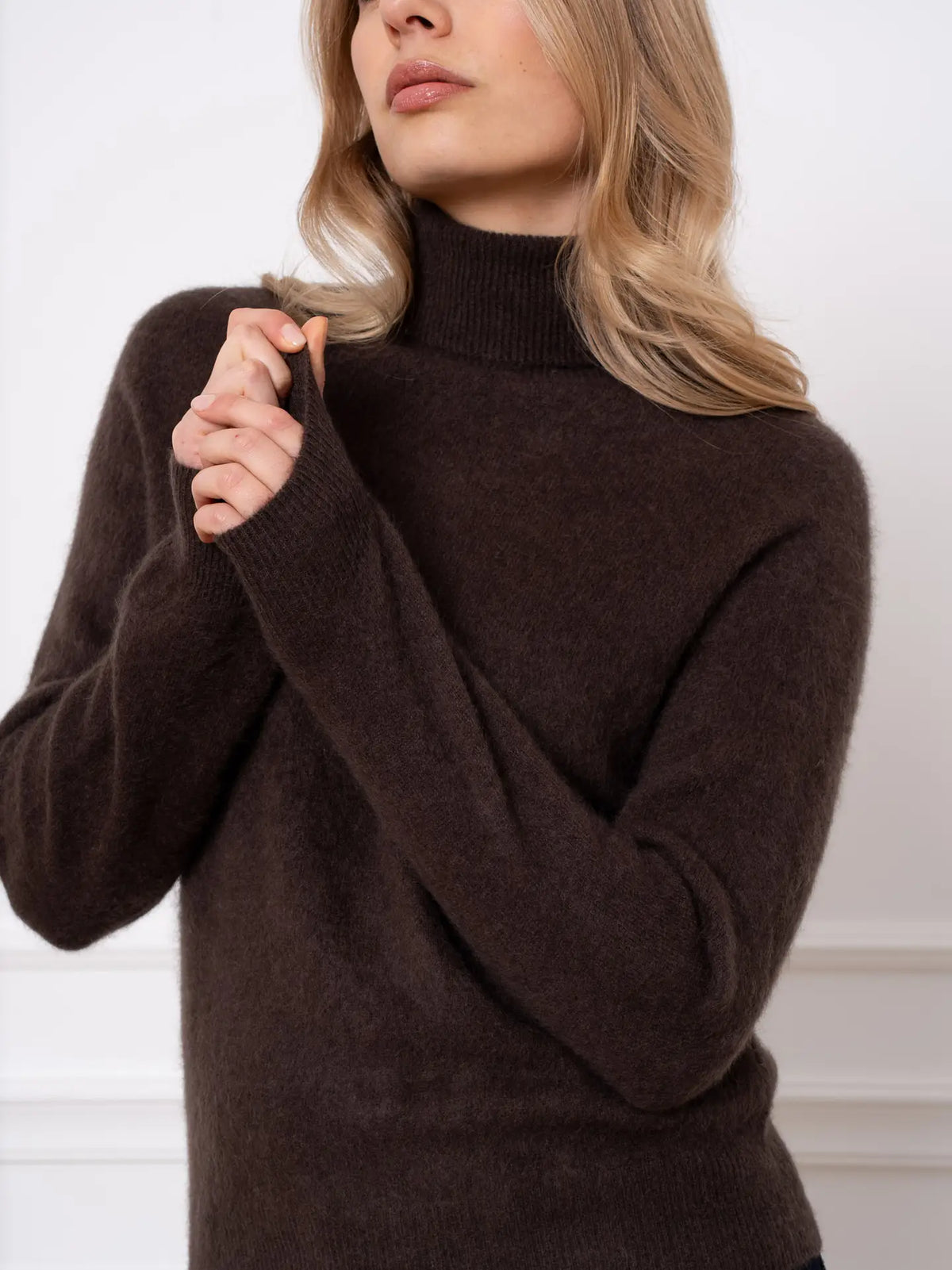 Brushed wool & cashmere turtleneck - Brown