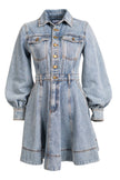 Denim Mini Dress