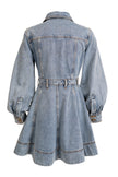 Denim Mini Dress
