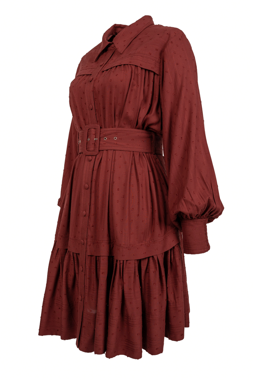 Rosé-Roselle Mini Dress